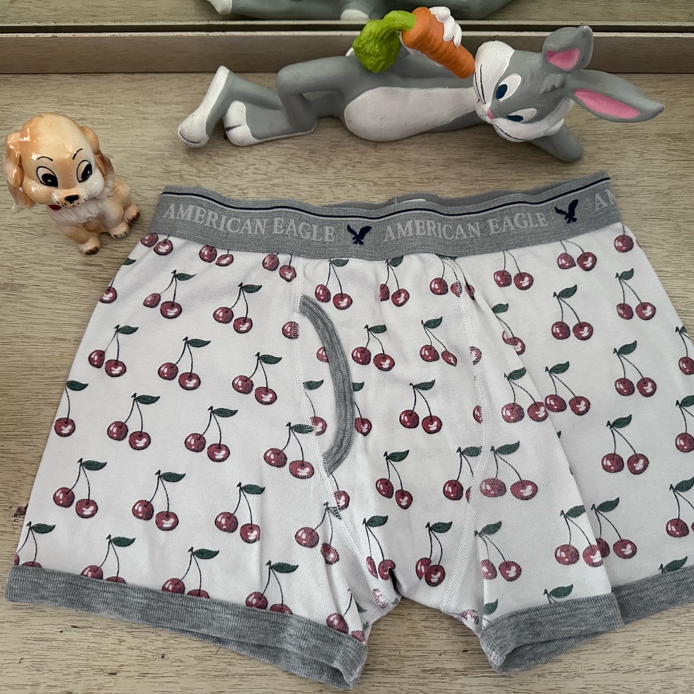 American Eagle Boxer Briefs MEDIUM